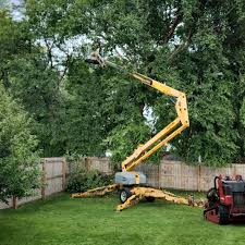 Reliable Greenville, DE  Tree Services Solutions